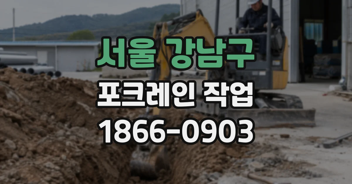 서울 강남구 포크레인 작업