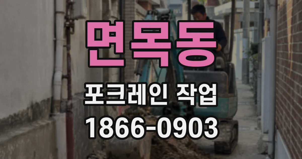 면목동 포크레인 작업