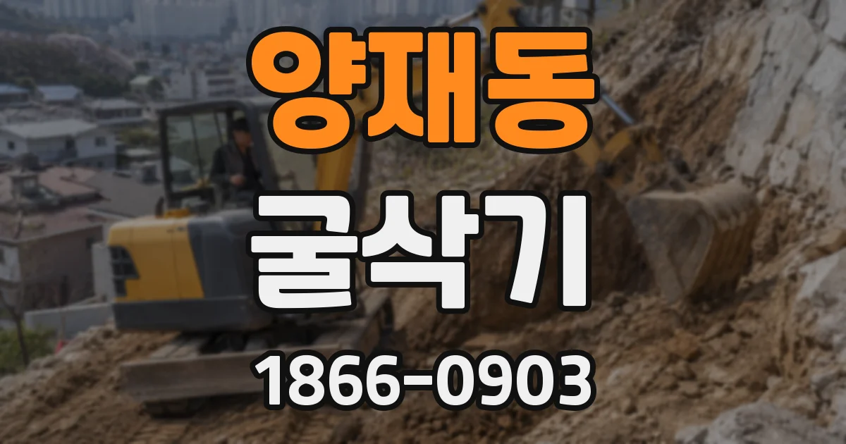 양재동 굴삭기