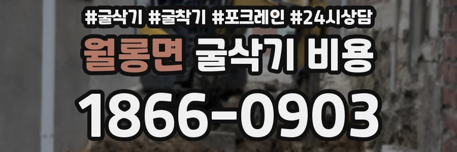 월롱면 굴삭기 비용
