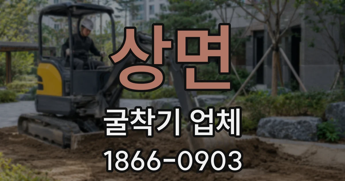 상면 굴착기 업체