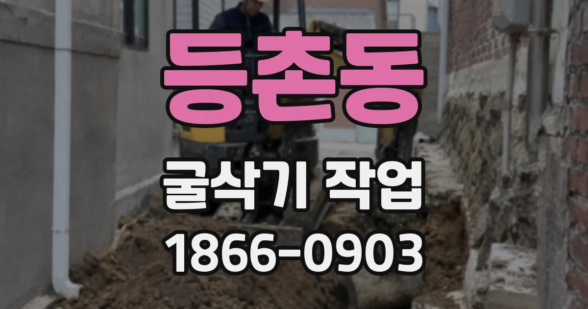 등촌동 굴삭기 작업