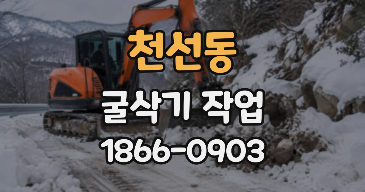 천선동 굴삭기작업