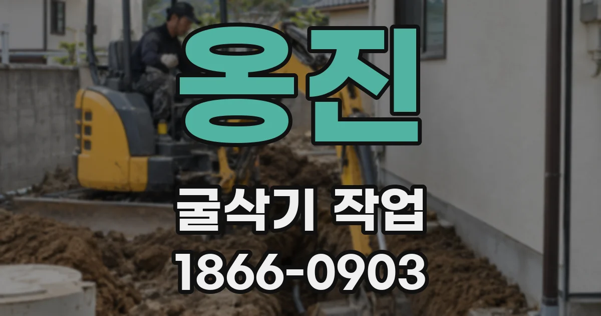 옹진 굴삭기 작업