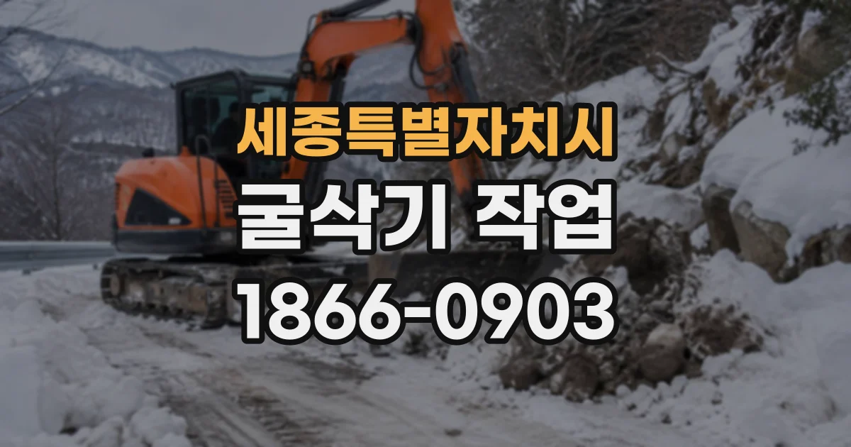세종특별자치시 굴삭기작업