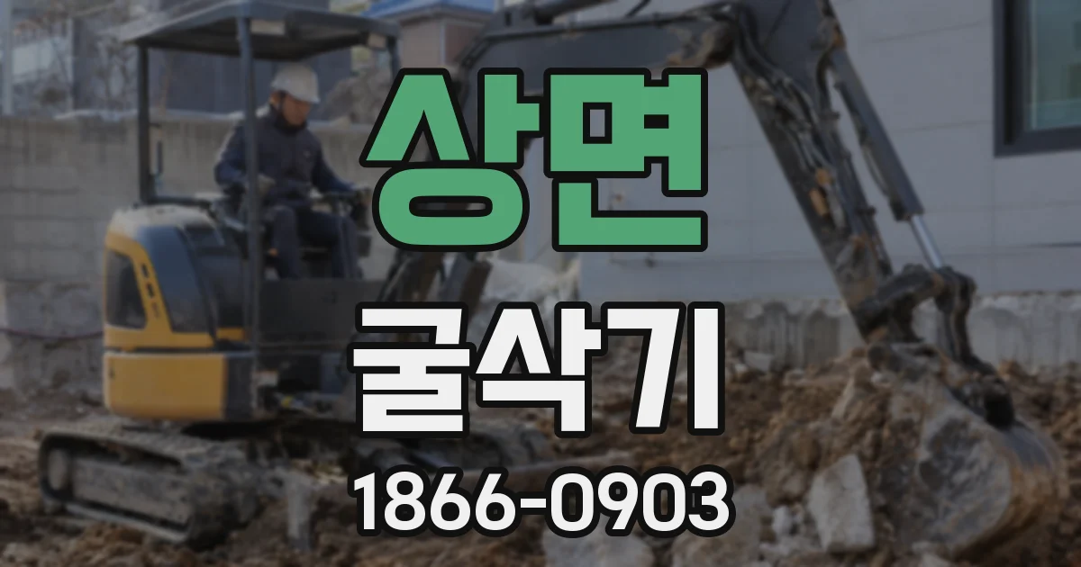 상면 굴삭기