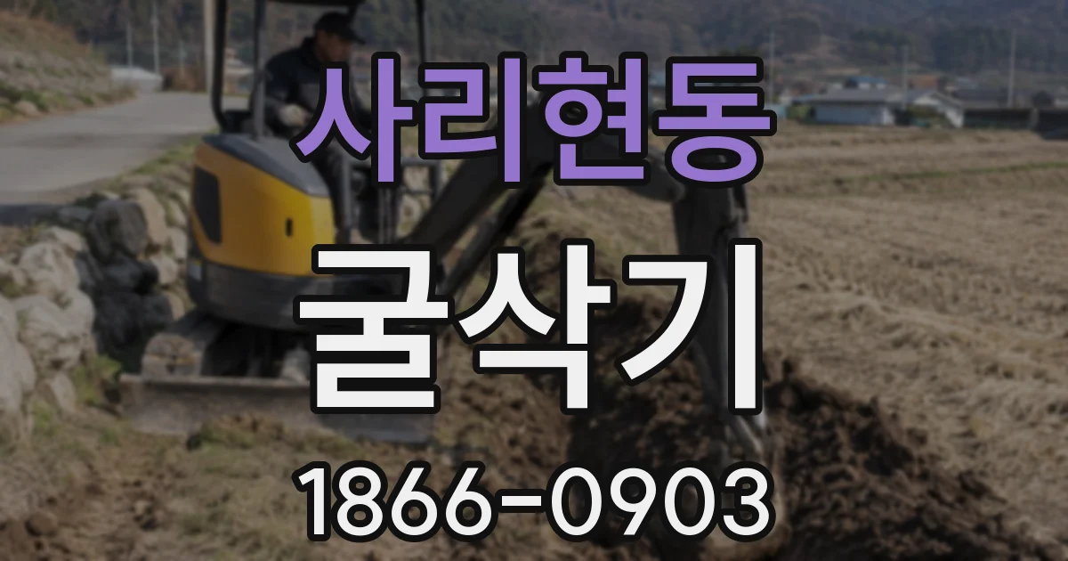 사리현동 굴삭기