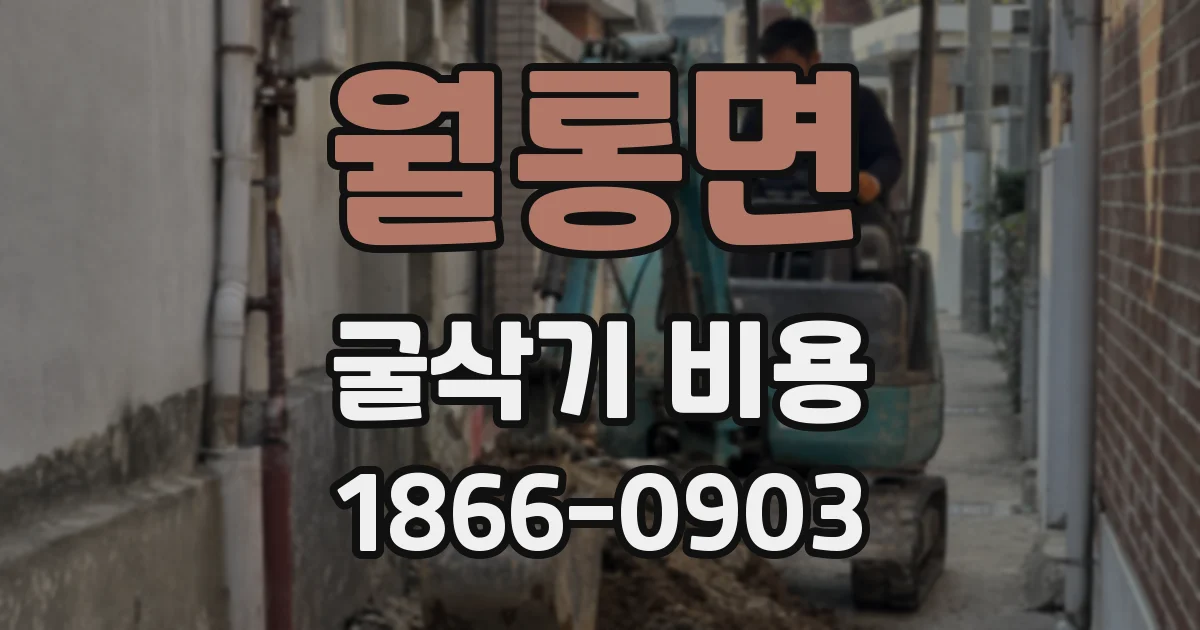 월롱면 굴삭기 비용