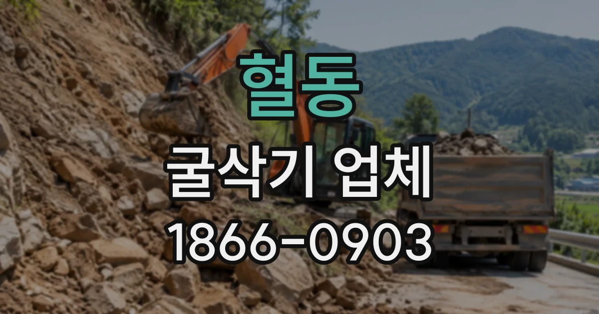 혈동 굴삭기업체