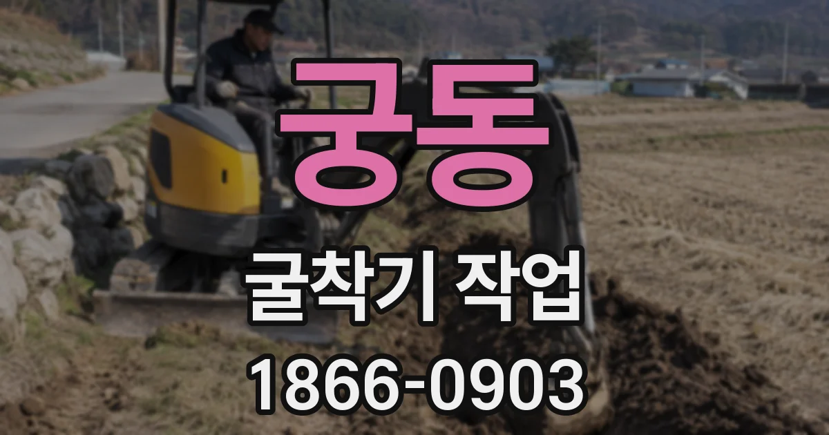 궁동 굴착기 작업