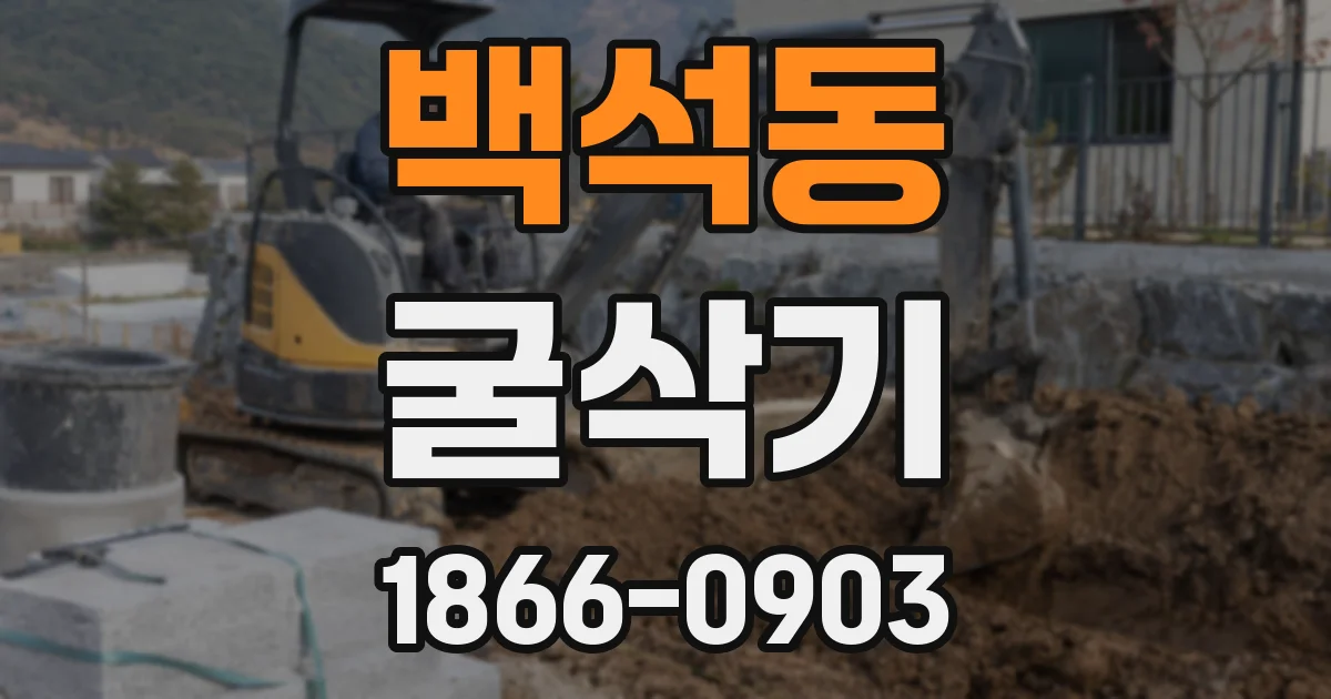 백석동 굴삭기