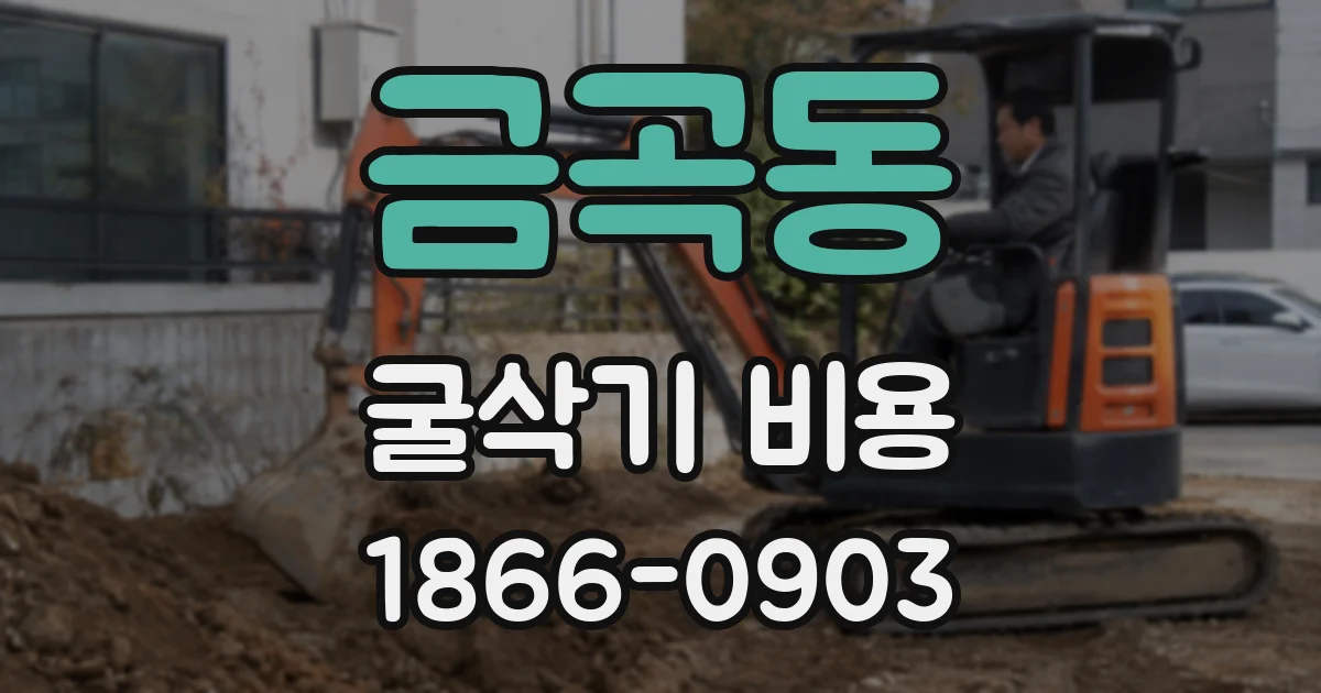 금곡동 굴삭기 비용