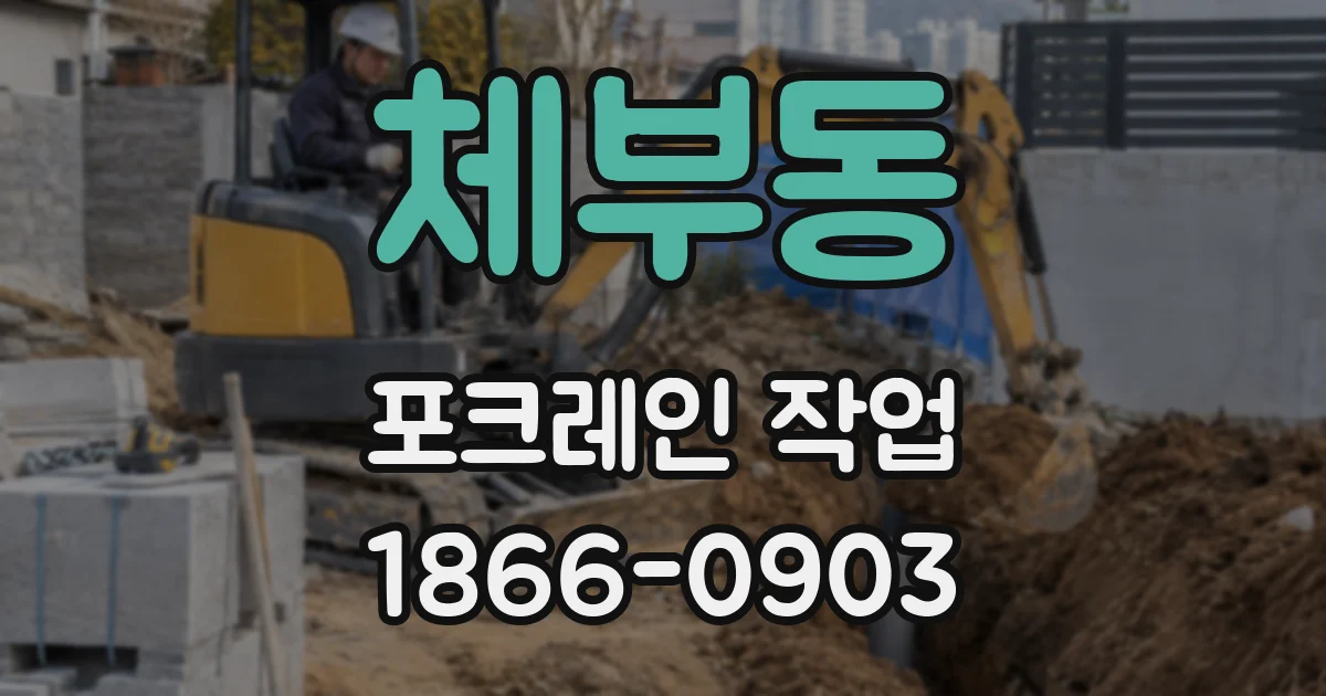 체부동 포크레인 작업