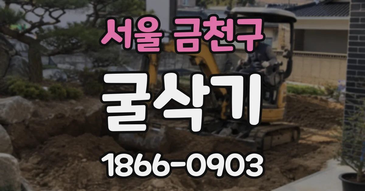 서울 금천구 굴삭기