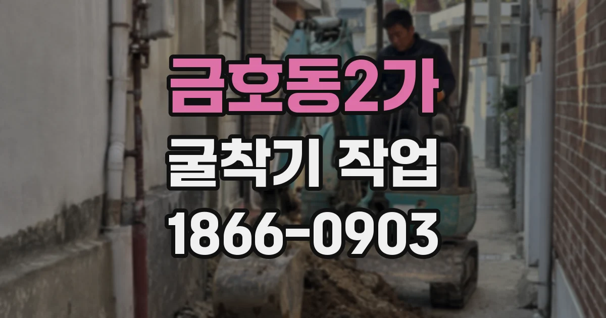 금호동2가 굴착기 작업