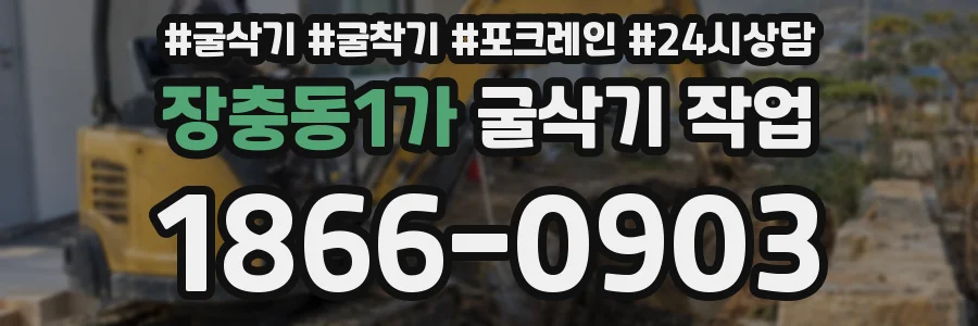 장충동1가 굴삭기 작업