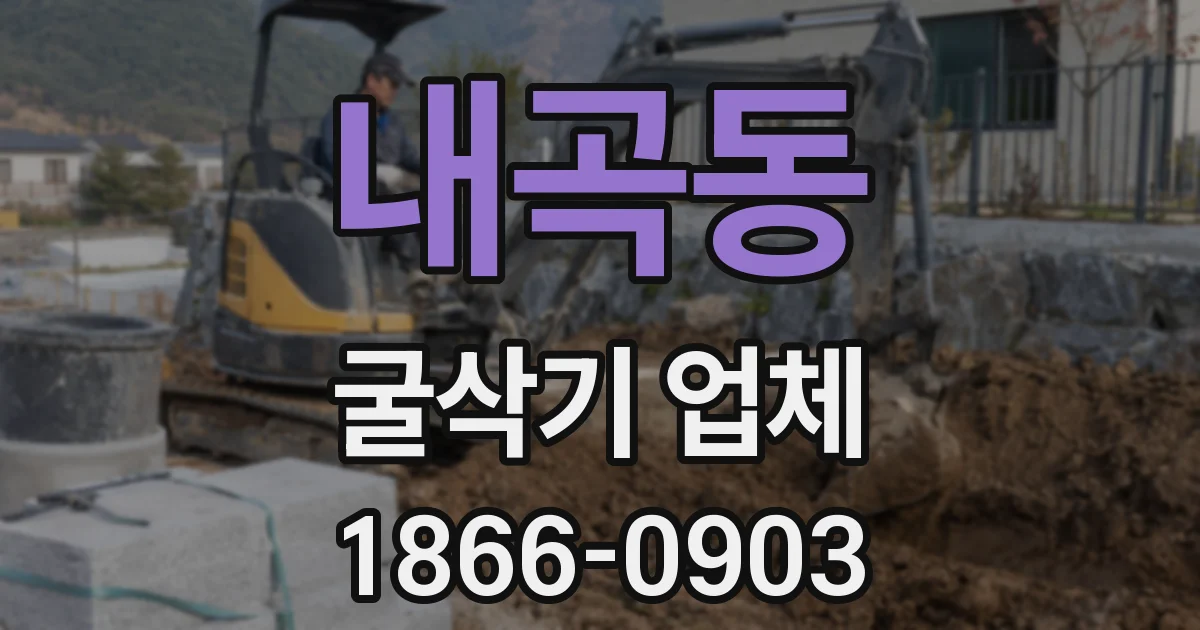 내곡동 굴삭기 업체
