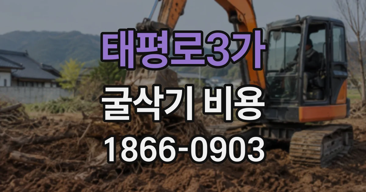 태평로3가 굴삭기비용