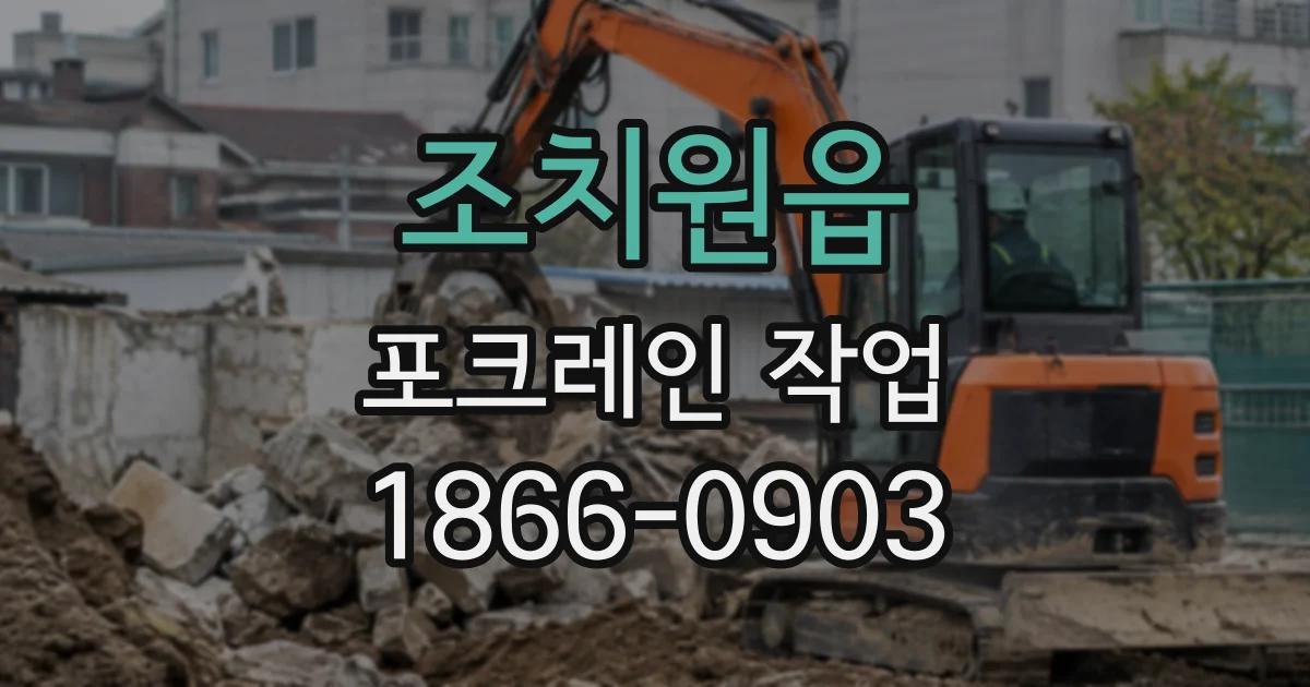 조치원읍 포크레인작업