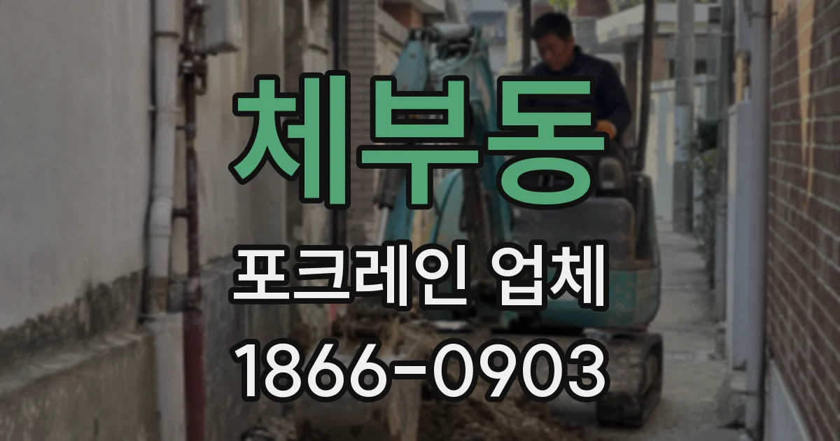 체부동 포크레인 업체