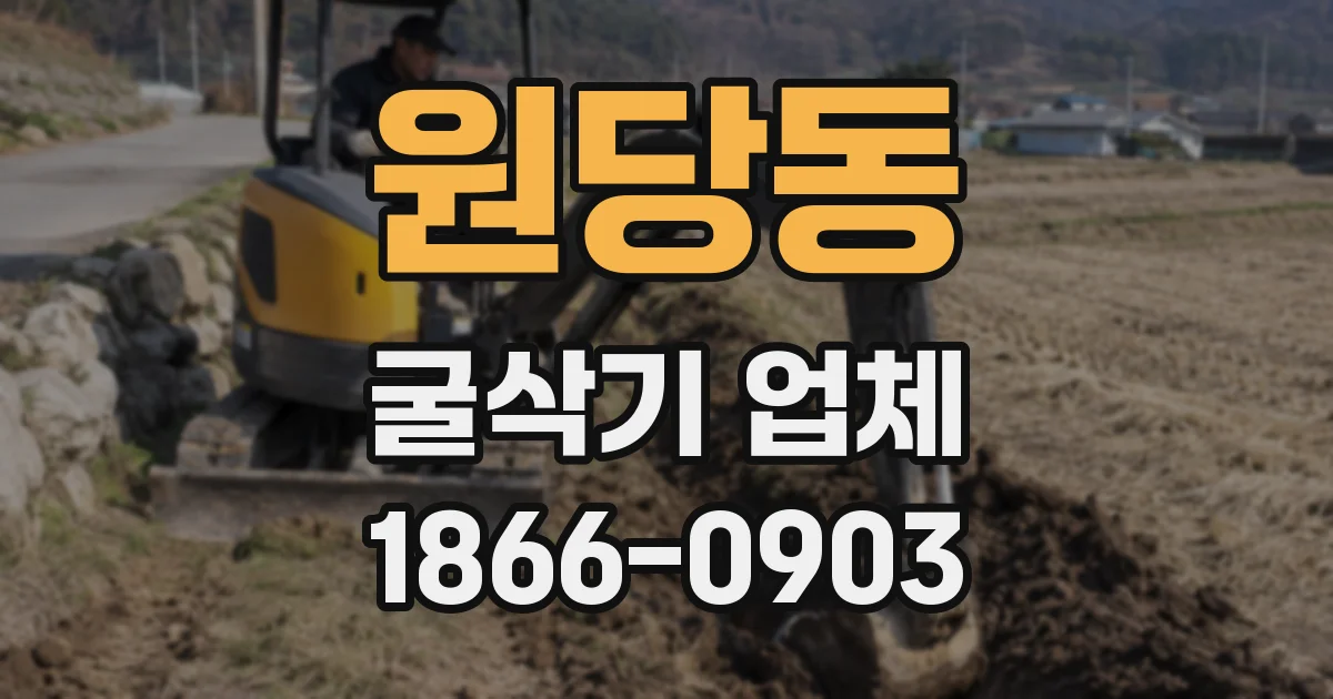 원당동 굴삭기 업체