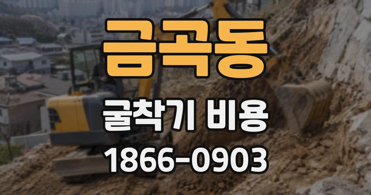 금곡동 굴착기 비용