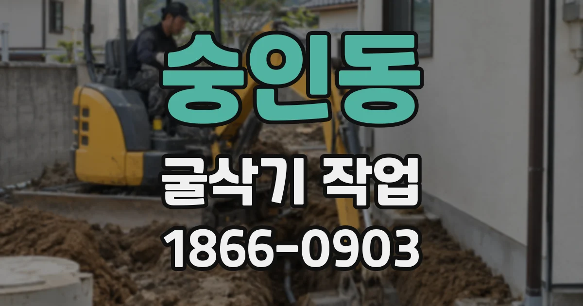 숭인동 굴삭기 작업