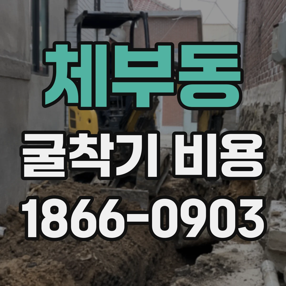 체부동 굴착기 비용