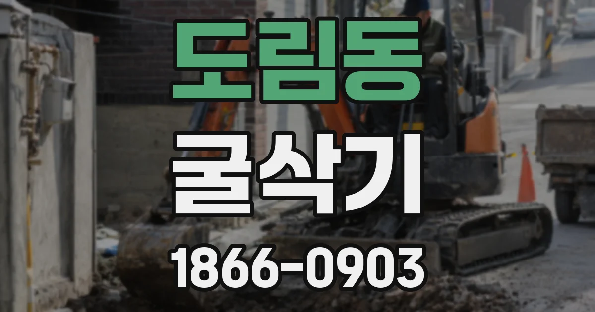 도림동 굴삭기