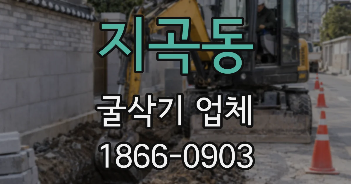 지곡동 굴삭기 업체