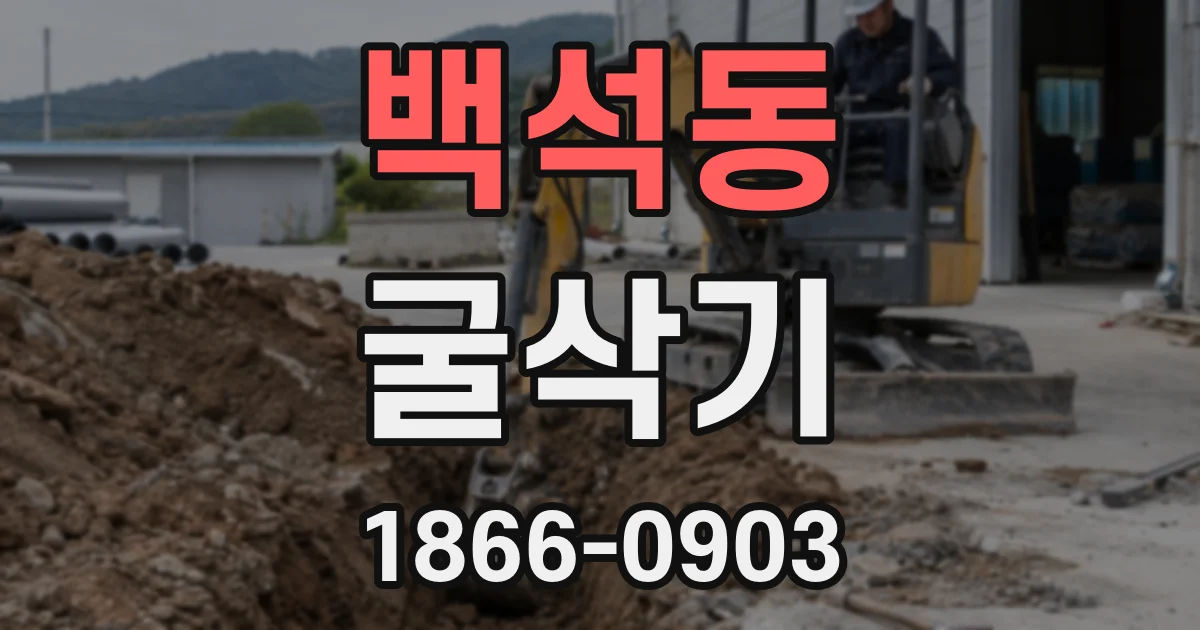 백석동 굴삭기