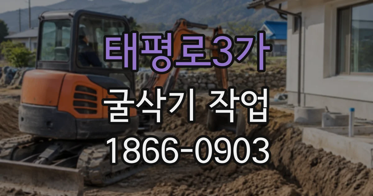 태평로3가 굴삭기작업