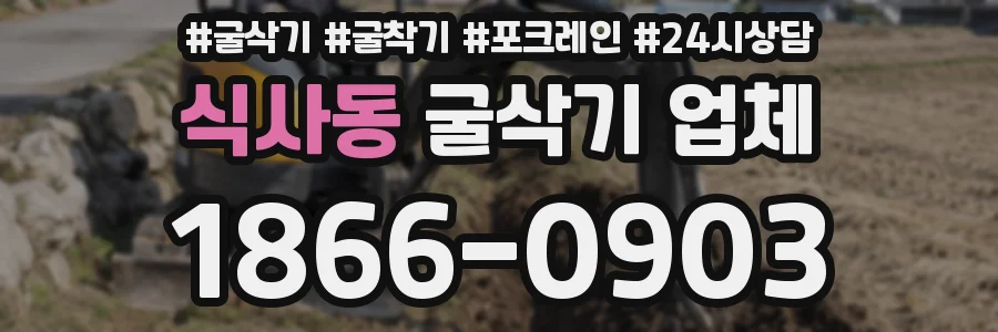 식사동 굴삭기 업체