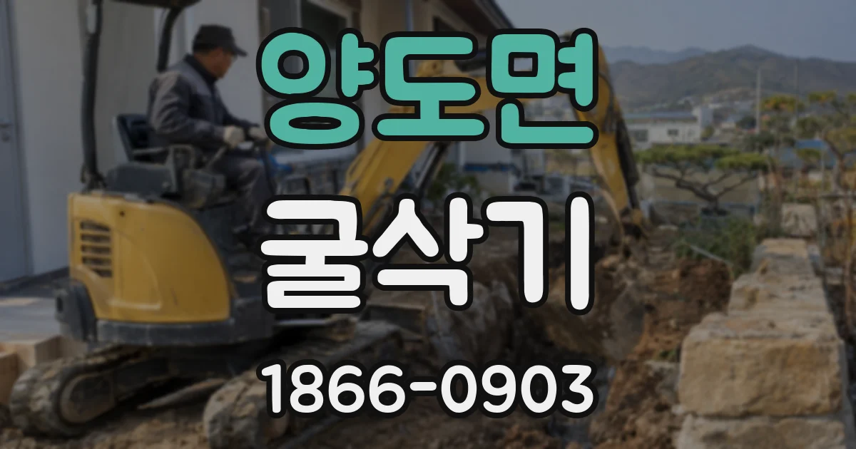 양도면 굴삭기