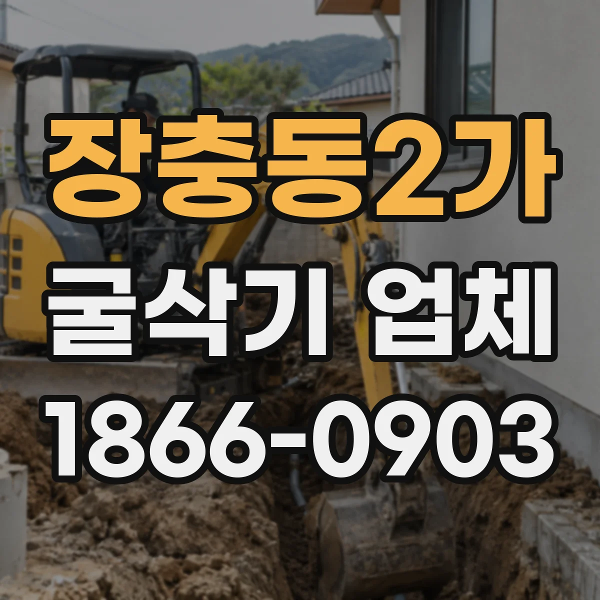 장충동2가 굴삭기 업체