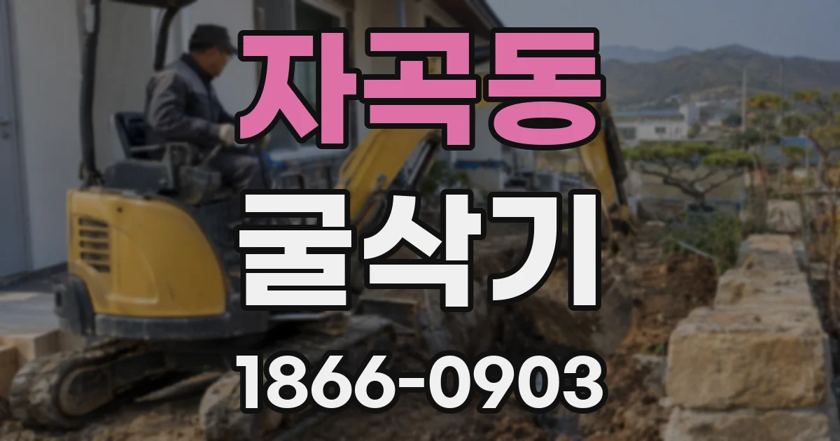 자곡동 굴삭기