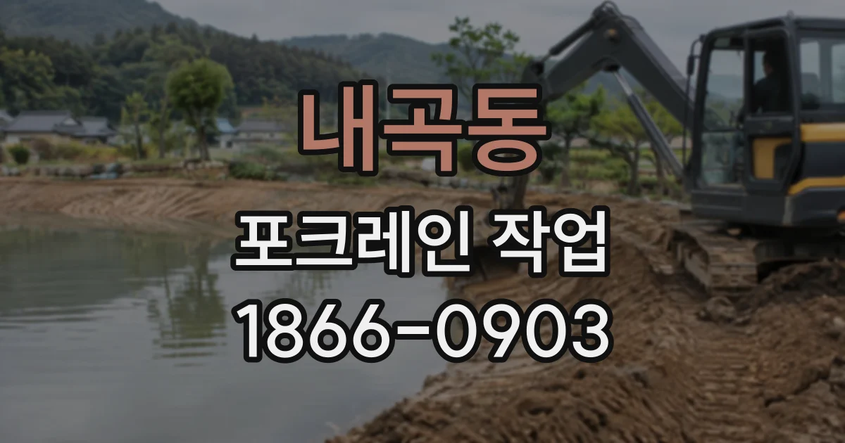 내곡동 포크레인작업