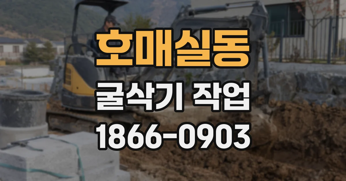 호매실동 굴삭기 작업