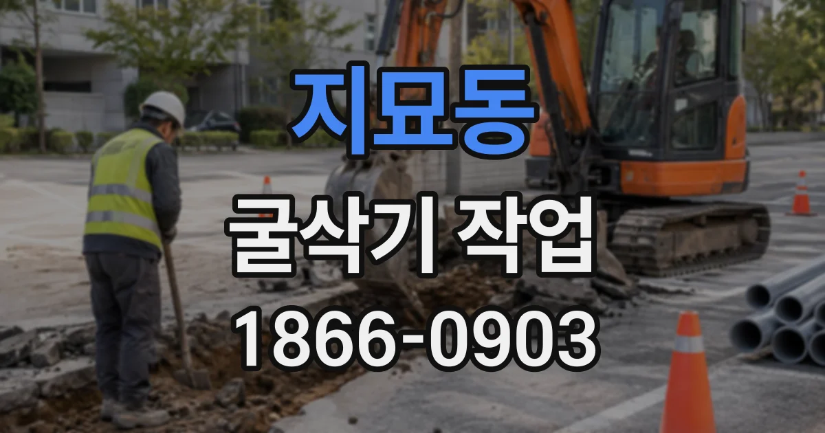 지묘동 굴삭기작업