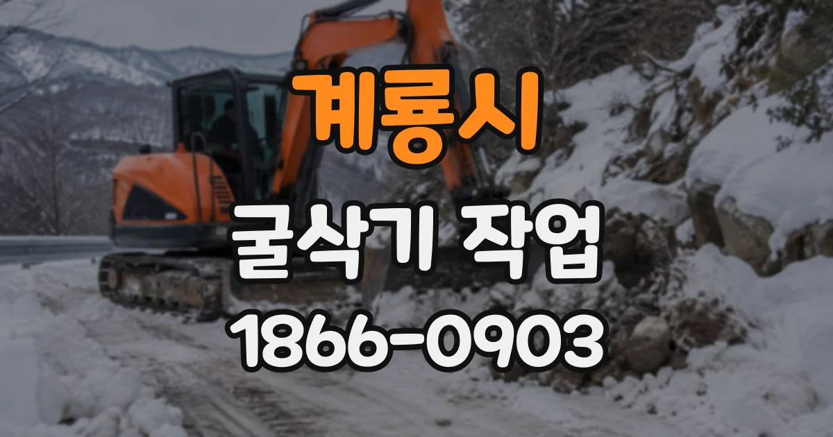 계룡시 굴삭기작업