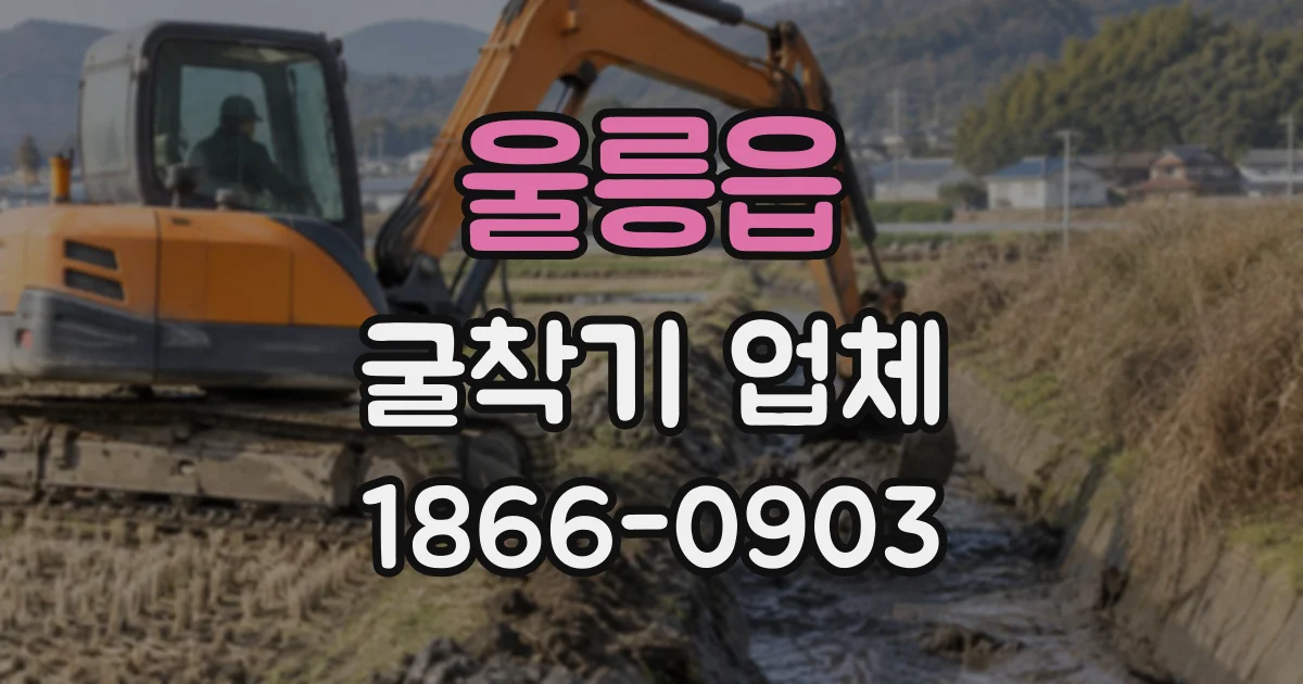 울릉읍 굴착기업체