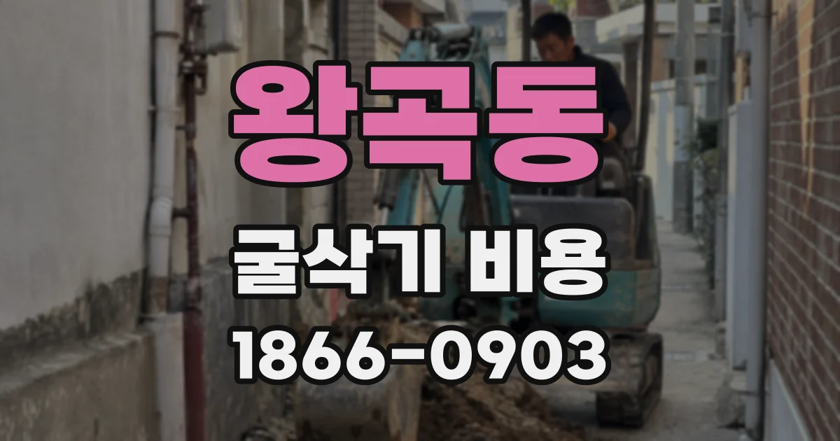 왕곡동 굴삭기 비용