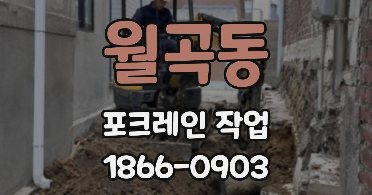 월곡동 포크레인 작업