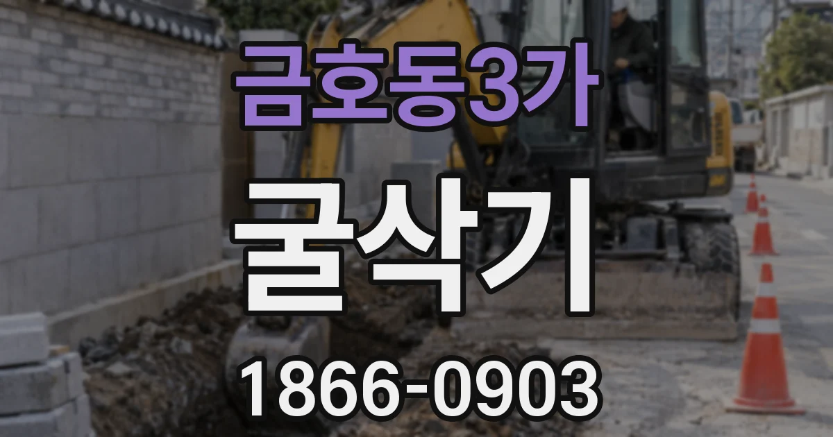 금호동3가 굴삭기