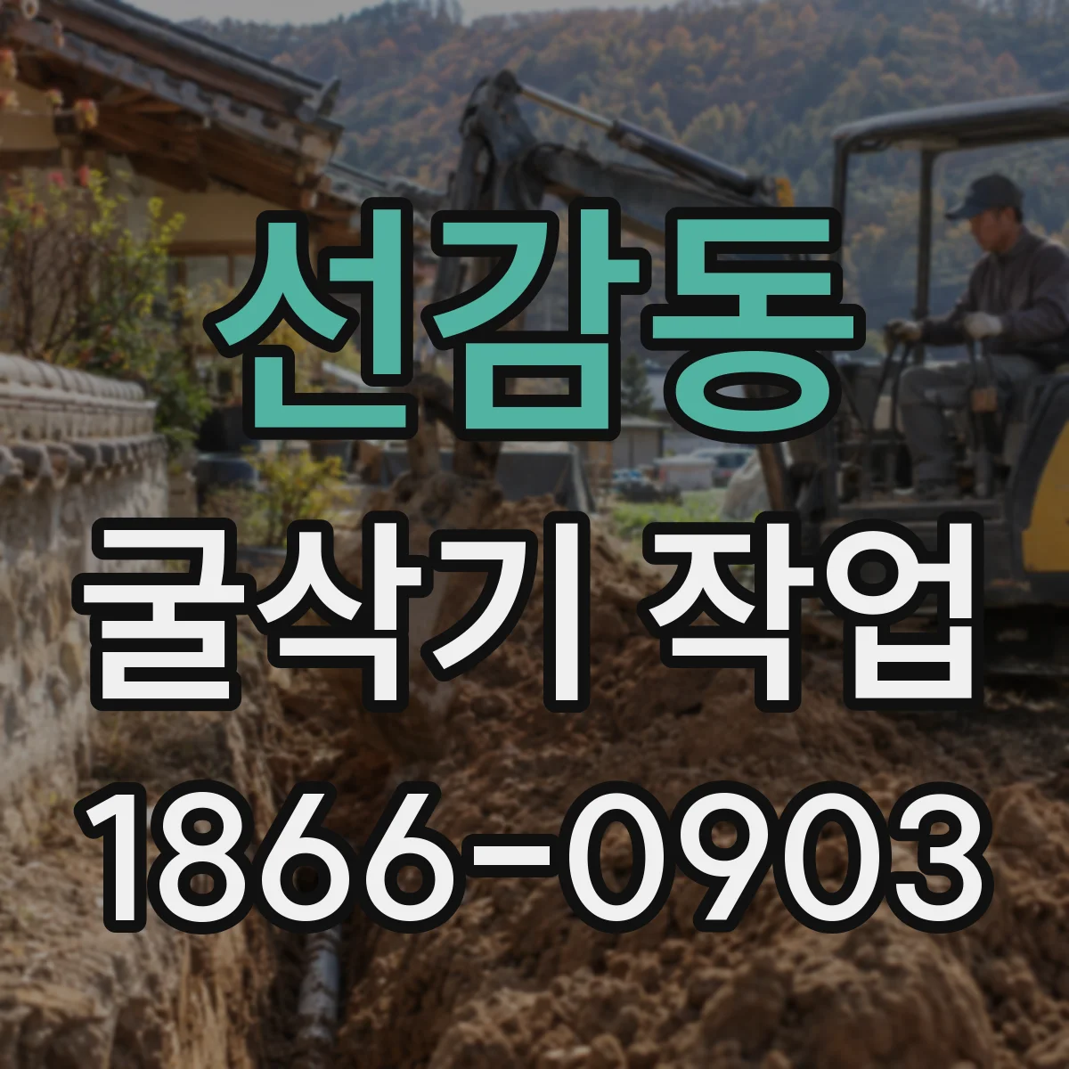 선감동 굴삭기 작업