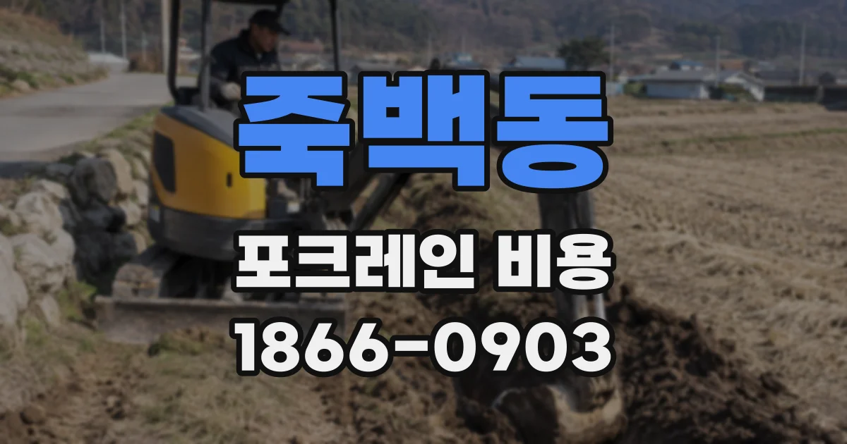 죽백동 포크레인 비용