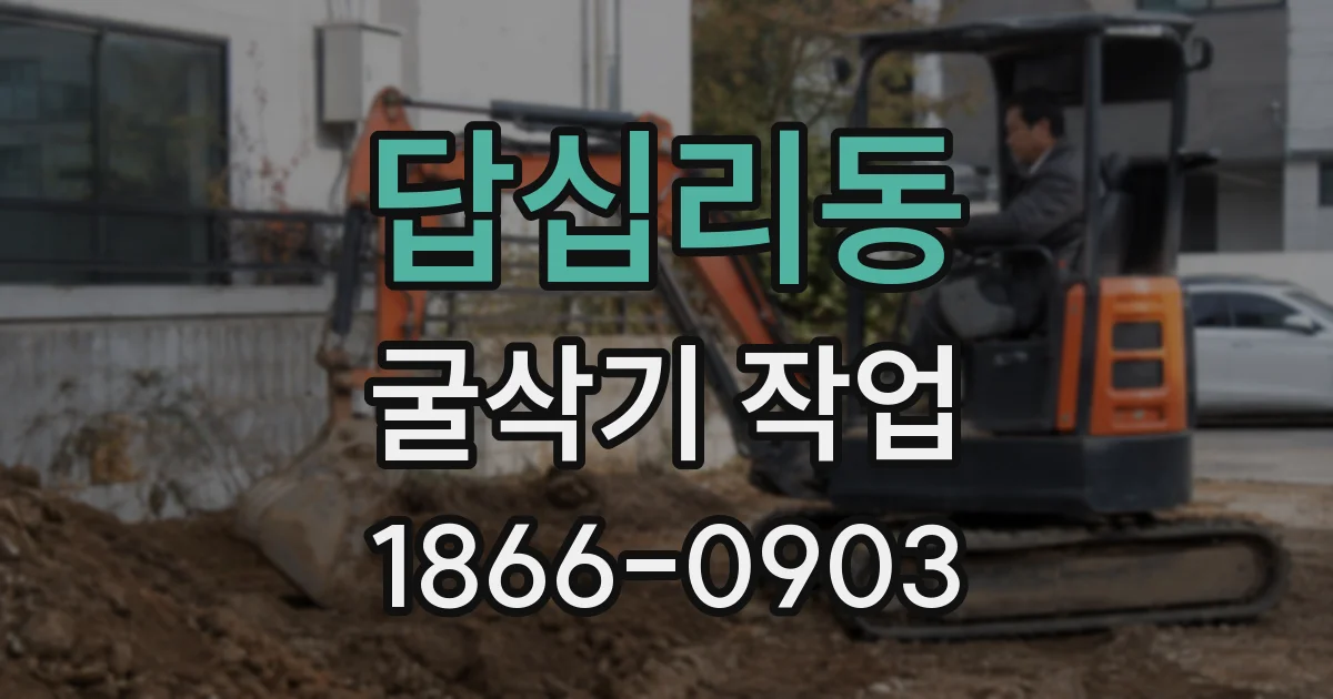 답십리동 굴삭기 작업