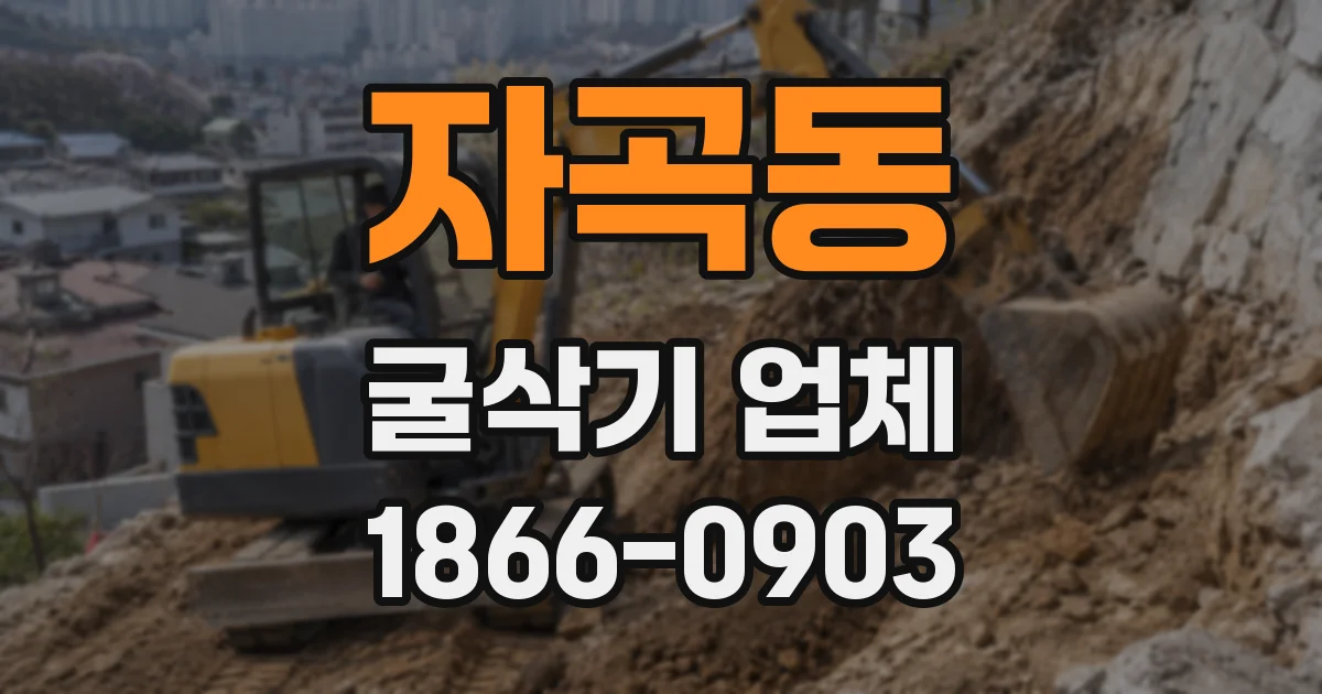 자곡동 굴삭기 업체