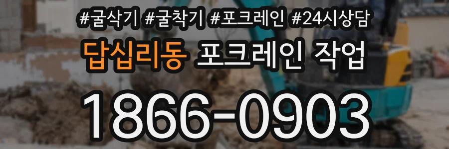 답십리동 포크레인 작업