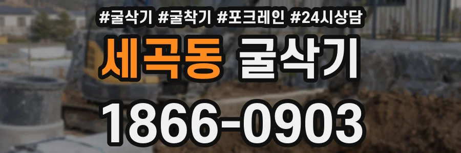 세곡동 굴삭기